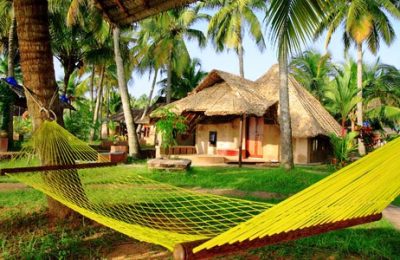 Best Of Kerala Honeymoon Package India