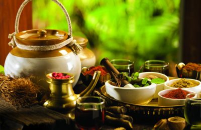 Kerala Ayurveda and Heritage Tour