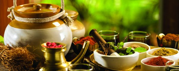 Kerala Ayurveda and Heritage Tour