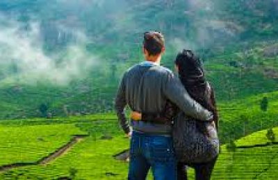 Munnar Honeymoon Package