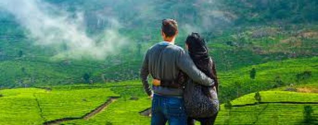 Munnar Honeymoon Package