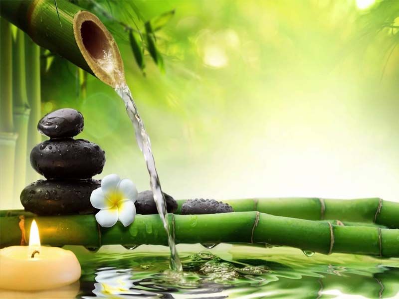 Kerala Ayurveda Tour - An Unforgettable Experience - Kerala Tour 2019