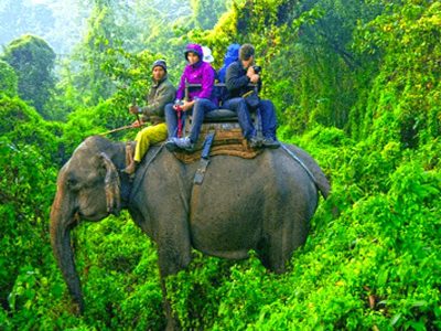 Kerala Wildlife Tour Package India