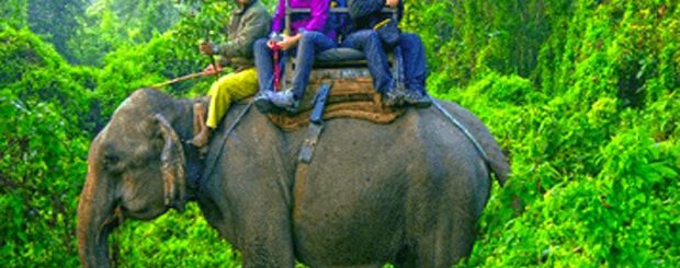 Kerala Wildlife Tour Package India