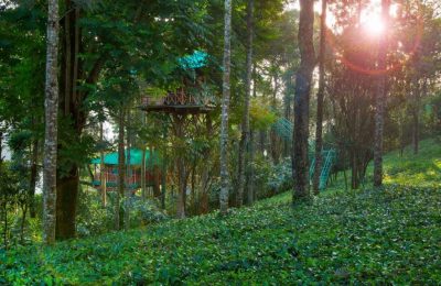 Dream Catcher Plantation Resort Munnar