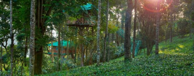 Dream Catcher Plantation Resort Munnar