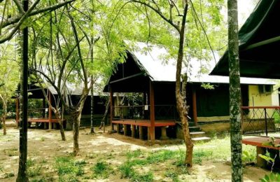 HORNBILL CAMP Kochi