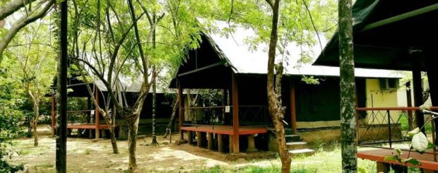 HORNBILL CAMP Kochi