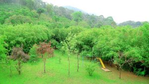Vythiri Greens Holiday Resort Wayanad