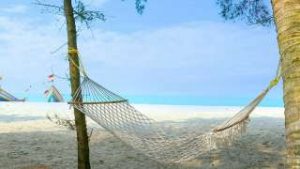 Treeleaf Marari Sands Beach Resort Alappuzha tour packages