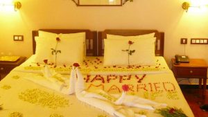 Vedic Village Resorts Kochi