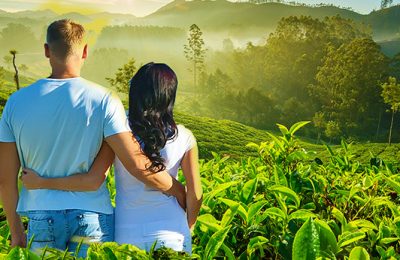 A lovely Honeymoon In Munnar