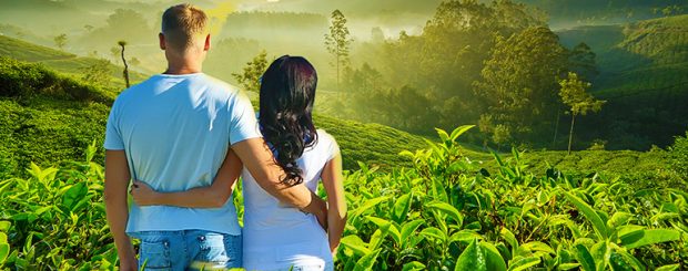 A lovely Honeymoon In Munnar