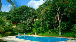 Abad Green Forest Munnar