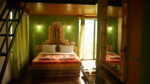 Wild Elephant Eco-Friendly Resort Munnar tour packages