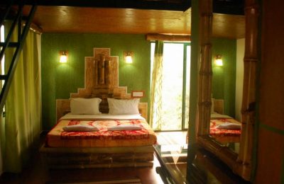 Wild Elephant Eco-Friendly Resort Munnar tour packages