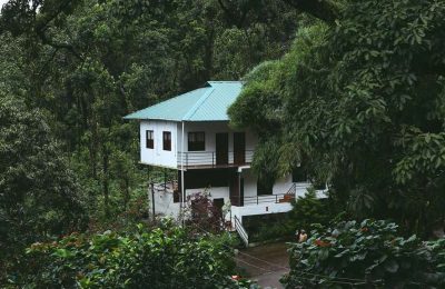 Spice Jungle Munnar