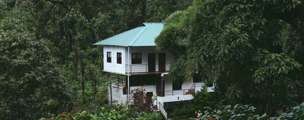 Spice Jungle Munnar