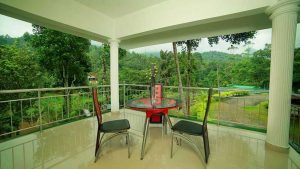 Avondale Luxury Cottage Munnar