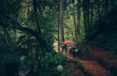 Ela Ecoland Nature Retreat Munnar