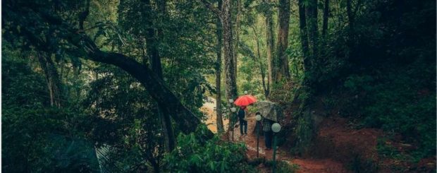 Ela Ecoland Nature Retreat Munnar