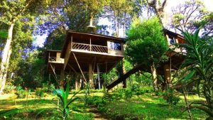 Nature Zone Jungle Resort Munnar