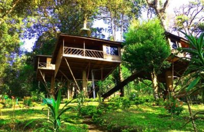 Nature Zone Jungle Resort Munnar