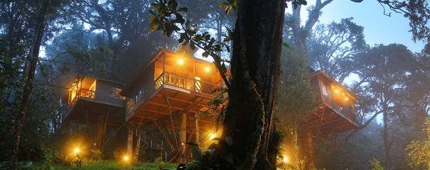 Nature Zone Jungle Resort Munnar